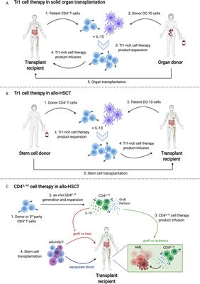 The Yin and Yang of Type 1 Regulatory T Cells: From Discovery to Clinical Application